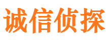 定海外遇调查取证